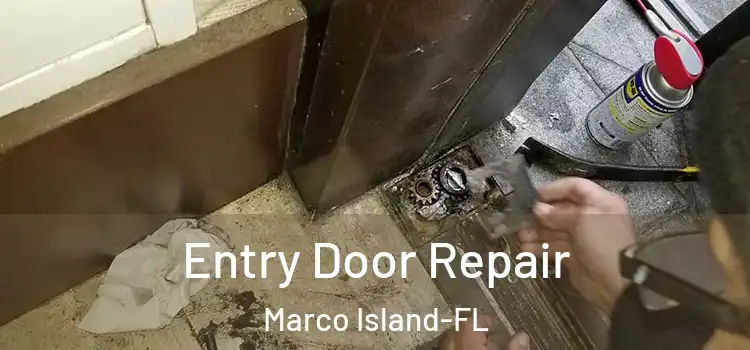  Entry Door Repair Marco Island-FL