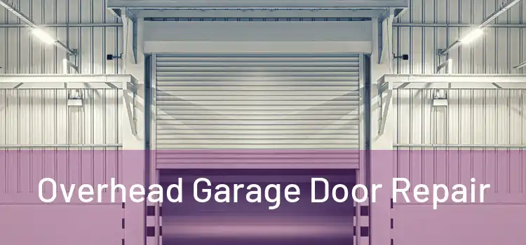  Overhead Garage Door Repair 